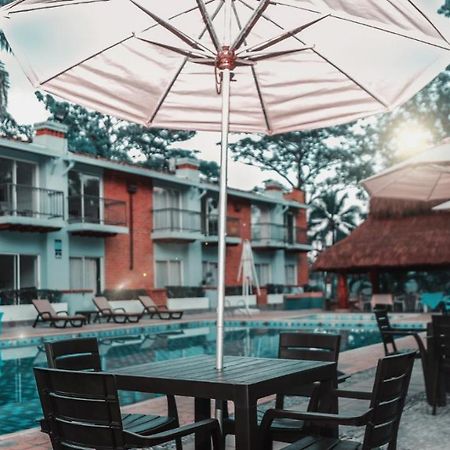 Hotel Y Restaurante Meson Del Gitano Caucasia المظهر الخارجي الصورة